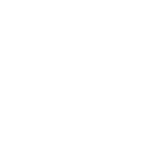 Major League Soccer